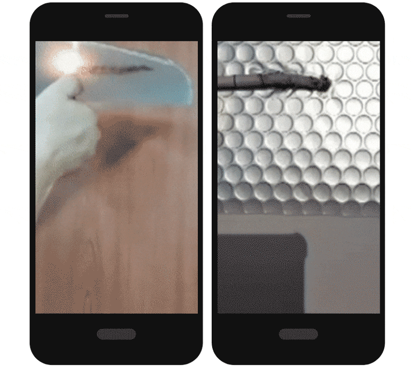0a0797e322dc87b54e04cd3c1a0f5a4d_1634631708_1352.gif