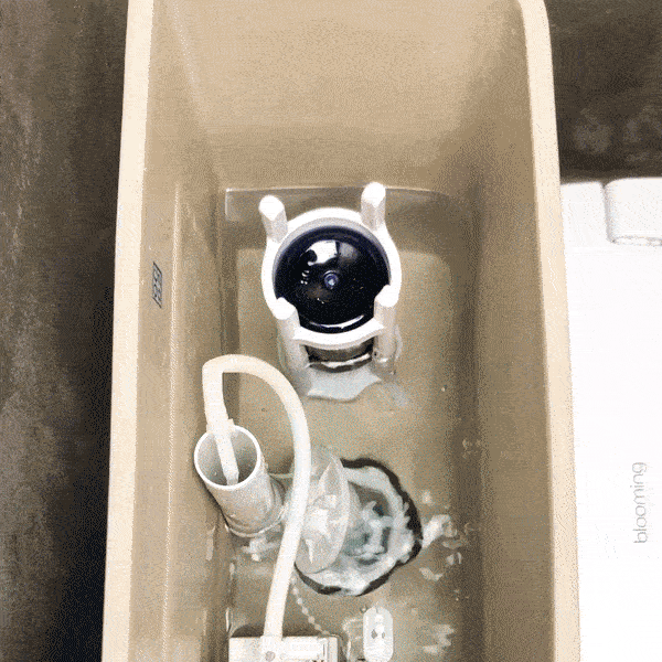 b7b47a1410bb7e5f24ecf814904befbd_1634186319_3343.gif