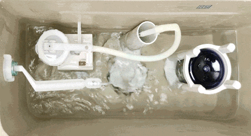 b7b47a1410bb7e5f24ecf814904befbd_1634186320_9844.gif